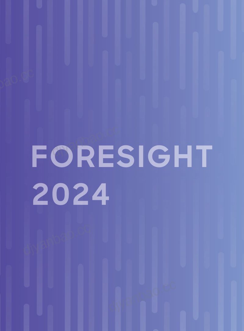 罗兰贝格：中国行业趋势报告-2024年度特别报告（73页） 第2页