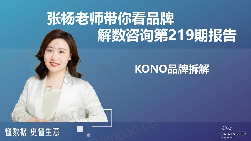 解数咨询：2023年KONO品牌拆解报告（72页） 第2页