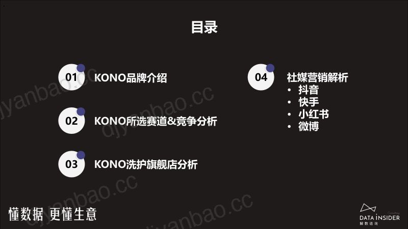 解数咨询：2023年KONO品牌拆解报告（72页） 第3页