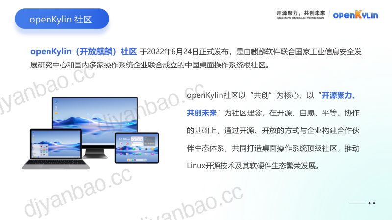 1-d3s1-1-WenzhuWang-openKylin开源操作系统在RISC-V架构上的开发实践 第3页