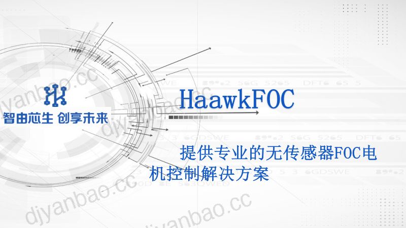 35.d2s5-3-HaawkFOC-提供专业的无传感器FOC解决方案rev1.2 2 第2页