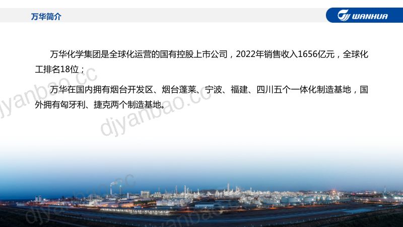 廖增太-石化行业可持续发展之道 第2页