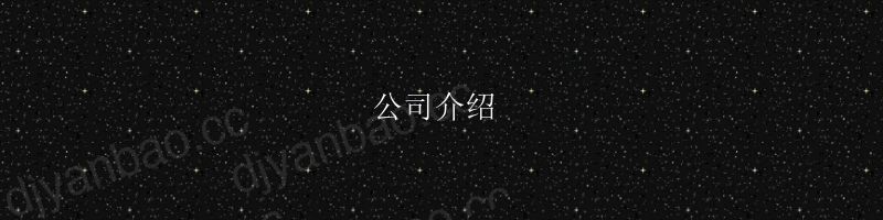 【朱佳能】短剧出海一年:内容制作经验总结与未来展望 第2页