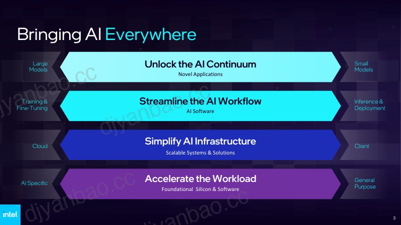 Bringing AI Everywhere 第3页