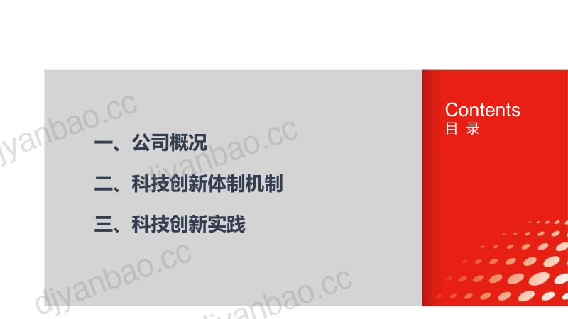 6-张宝忠-化工新材料科技创新实践 第2页
