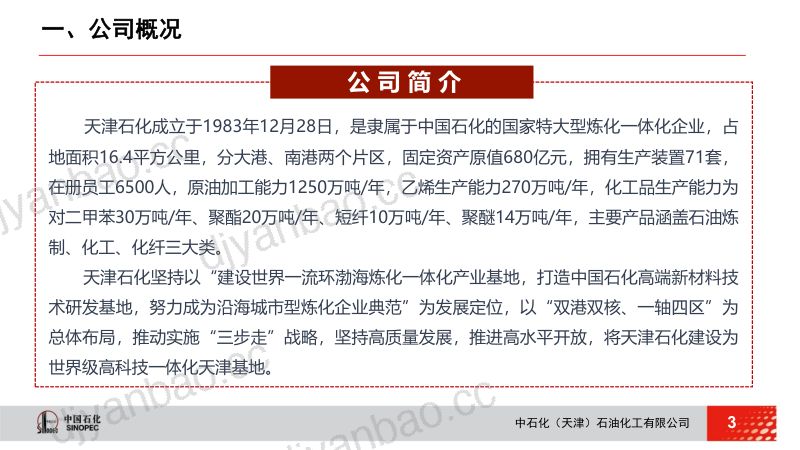 6-张宝忠-化工新材料科技创新实践 第3页