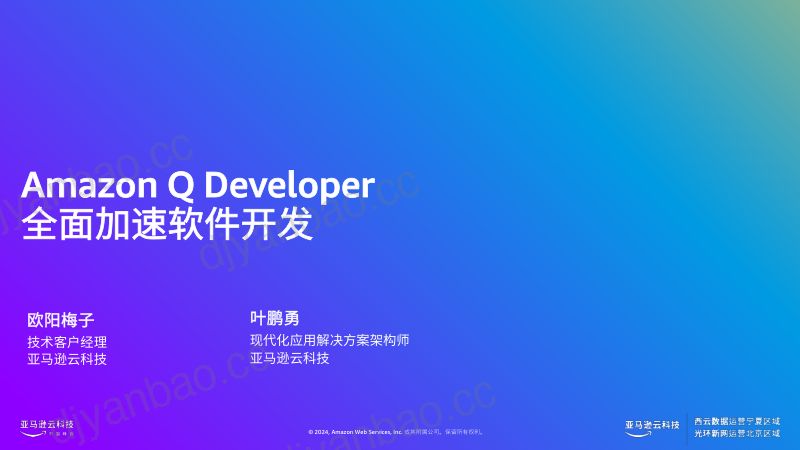 Amazon+Q+Developer+全面加速软件开发 第2页