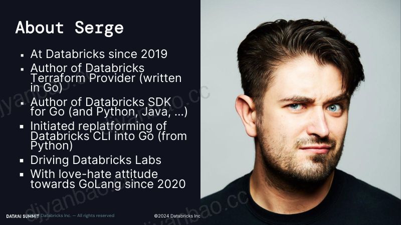 使用 DATABRICKS SDK FOR GO 生成应用程序 第3页