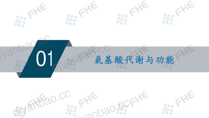 氨基酸-营养与康复之源-江南大学附属医院营养科+张烽 第3页