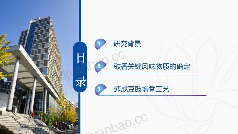 速成永川豆豉风味缺陷与增香调控机制索化夷 第2页