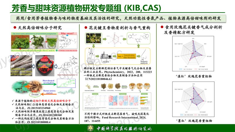 基于VOSViewer 文献及incoPat专利调研的香料香精产业发展现状与天然香料研究进展分析杜芝芝 第2页