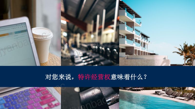 重塑IT打造数字交付特许经营 第3页