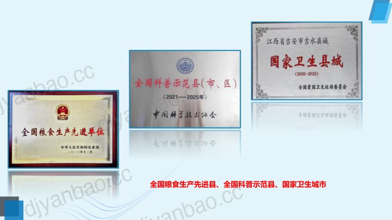 4 吉水县香料香精产业情况介绍及园区推介解小燕 第2页