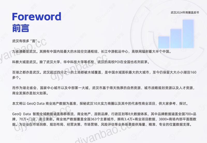 GeoQ智图:武汉2024年商圈蓝皮书(46页) 第2页