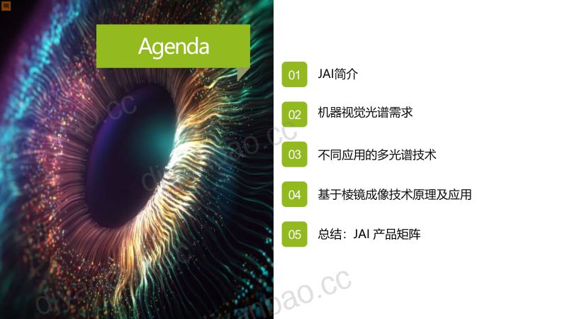 多光谱成像-棱镜技术助力新质生产力的多元应用——皆爱科技田广兴先生 第2页