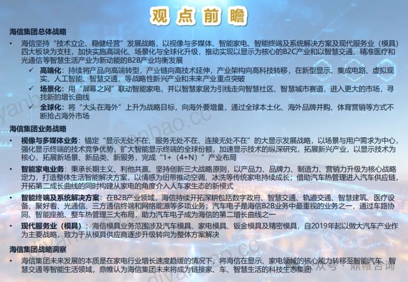 鼎帷咨询：2024海信集团发展战略研究报告（90页） 第2页