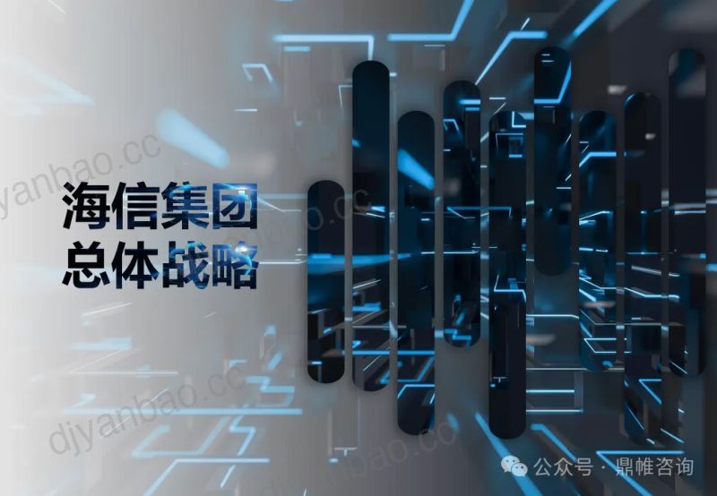 鼎帷咨询：2024海信集团发展战略研究报告（90页） 第3页