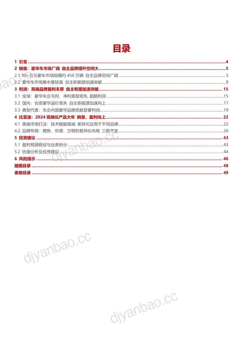 2024比亚迪市场销量、利润空间及品牌布局分析报告（45页） 第2页