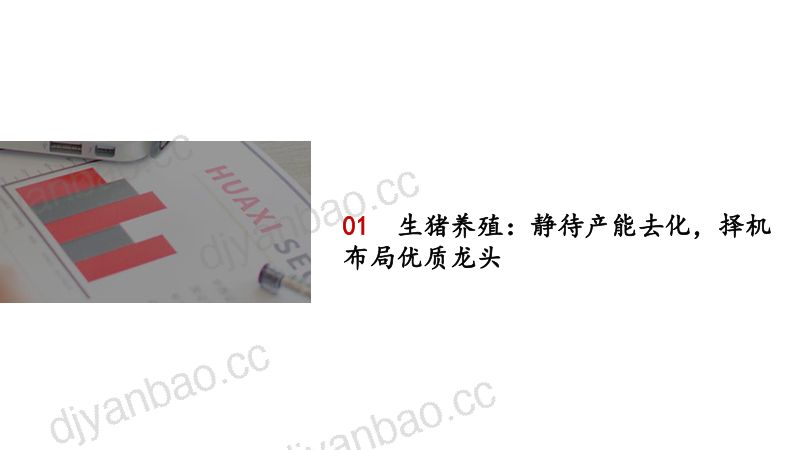 农林牧渔行业策略报告:转基因催生行业变革坚定看好种业板块-211207(18页) 第3页