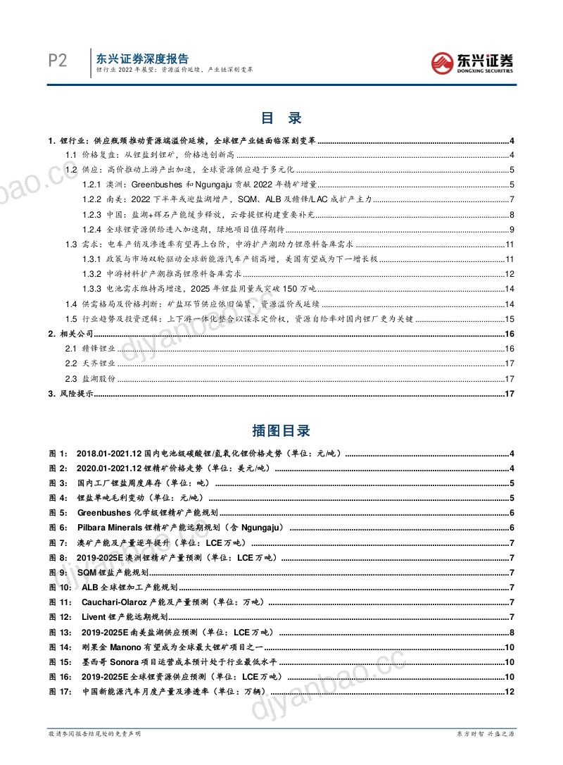锂行业2022年展望:资源溢价延续产业链深刻变革-220107(15页) 第2页