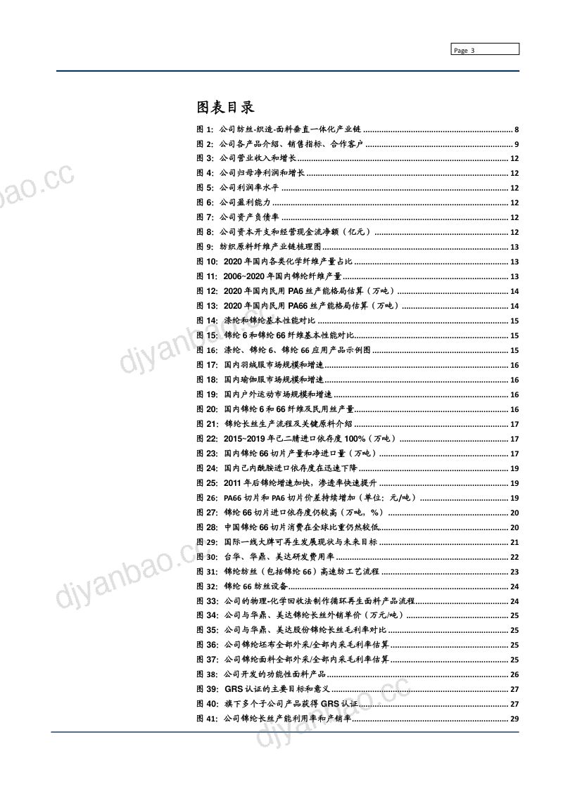 2022年高端锦纶龙头台华新材竞争力分析及棉纶66行业现状趋势研究报告（42页） 第3页