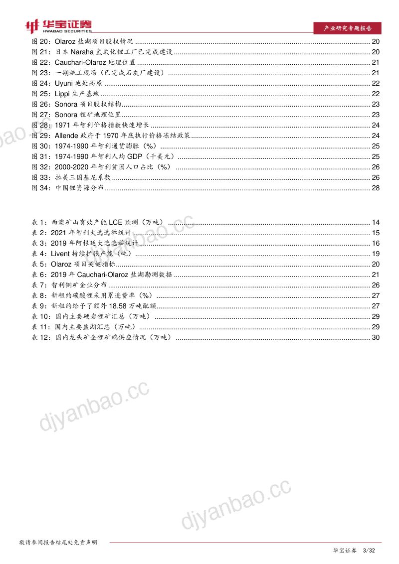 锂行业深度报告：海外新增供给面临不确定把握锂矿自供是盈利屏障-220303（31页） 第3页
