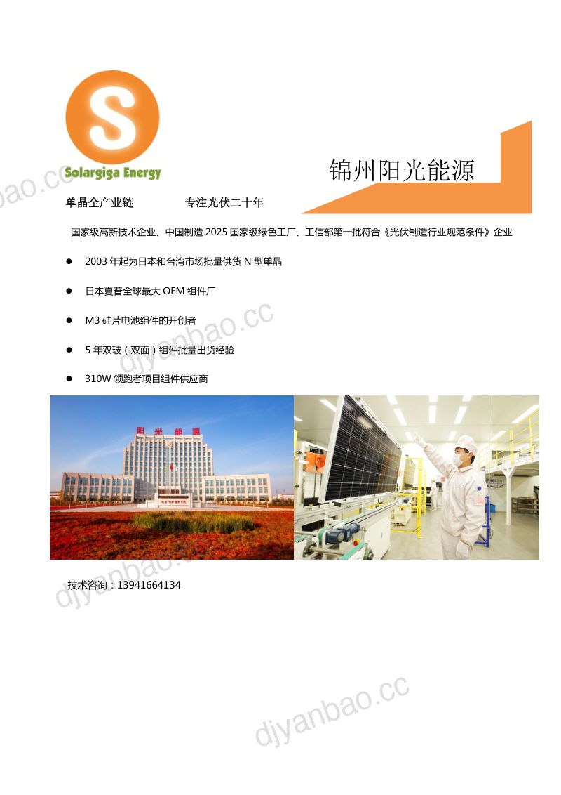 摩尔光伏:异质结(HJT)量产技术报告(108页) 第2页