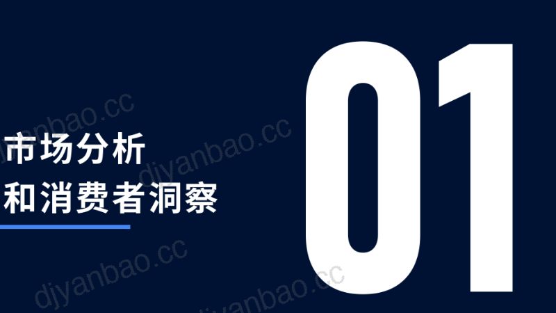 SHOPLINE：服装独立站运营增长白皮书（61页） 第3页