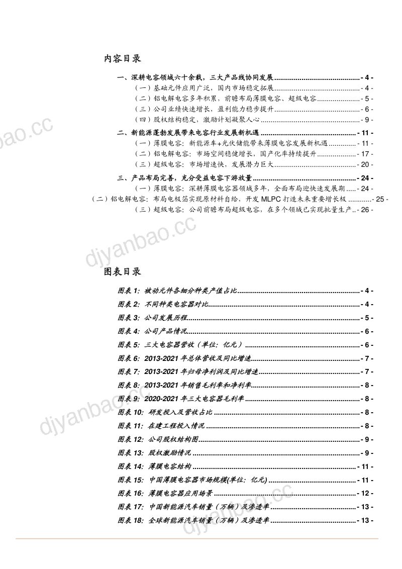 2022年薄膜电容、铝电解电容、超级电容市场发展研究及江海股份产品布局报告(29页) 第2页