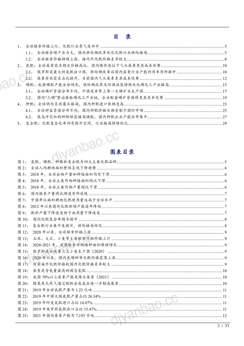 2022年化肥行业氮肥、磷肥、钾肥、复合肥全球市场供给格局分析报告（30页） 第2页