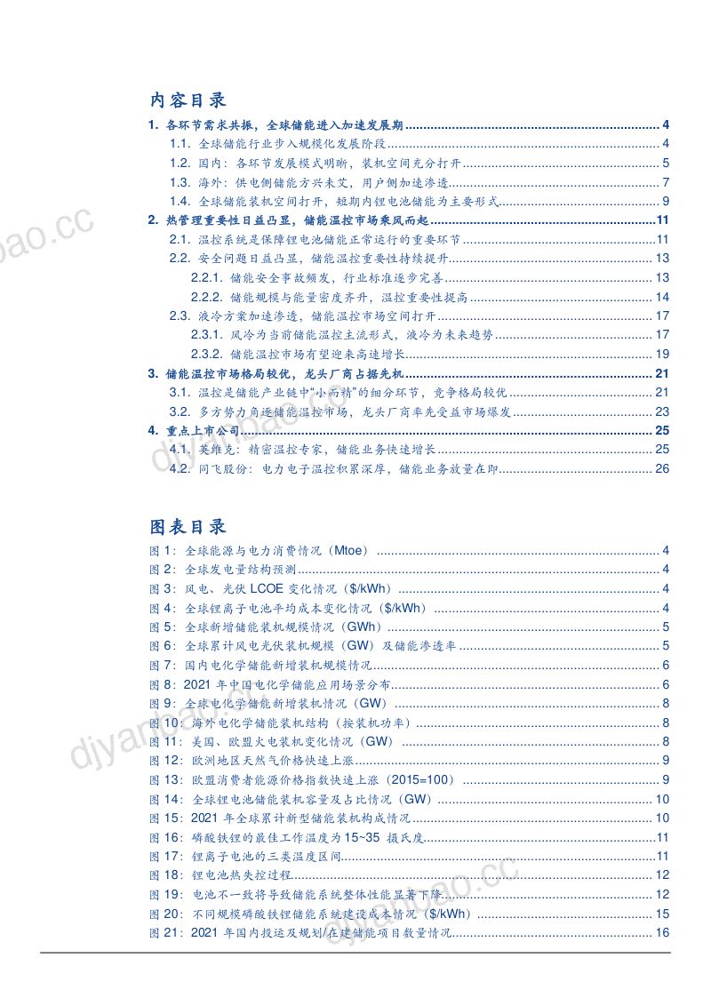 2022年全球储能温控市场空间现状及竞争格局分析报告(28页) 第2页