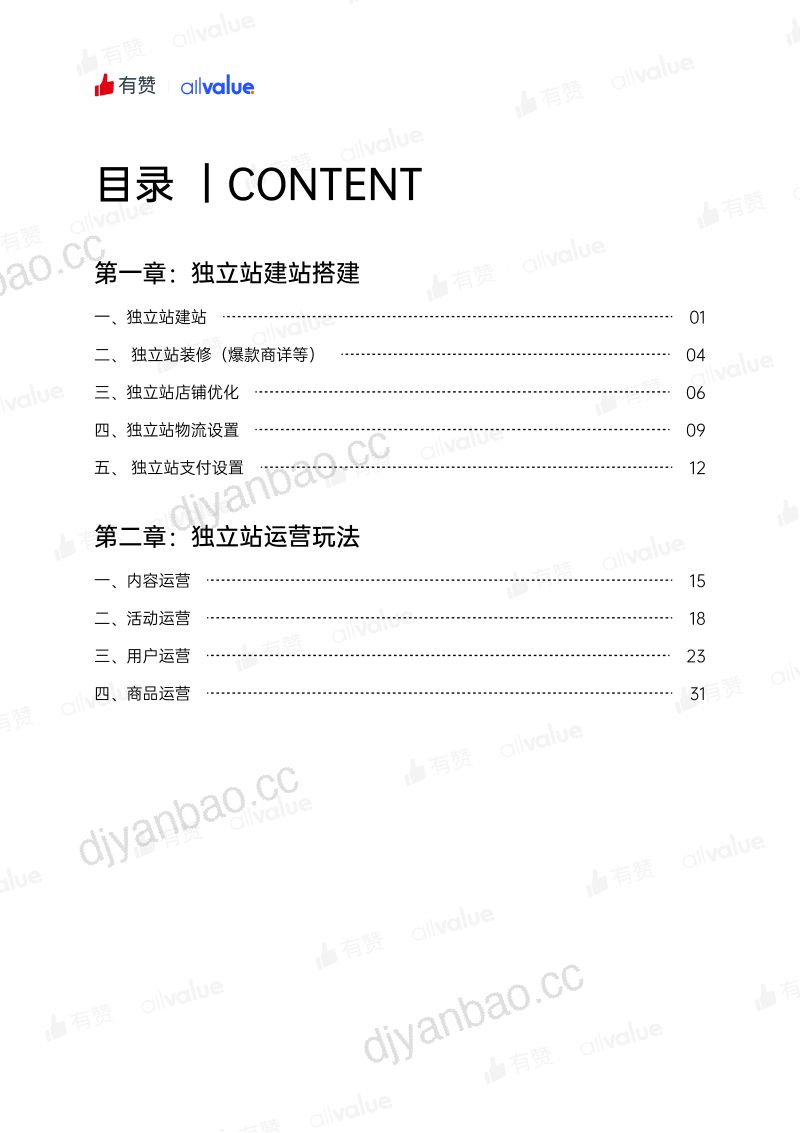 有赞：2022独立站运营指南（39页） 第3页