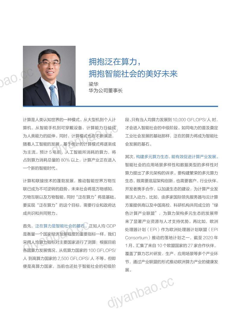 华为:泛在算力:智能社会的基石(77页) 第2页