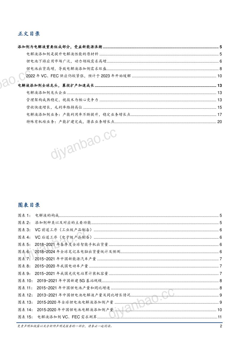 2022年电解液添加剂市场供给需求及华盛锂电业务分析报告(26页) 第2页