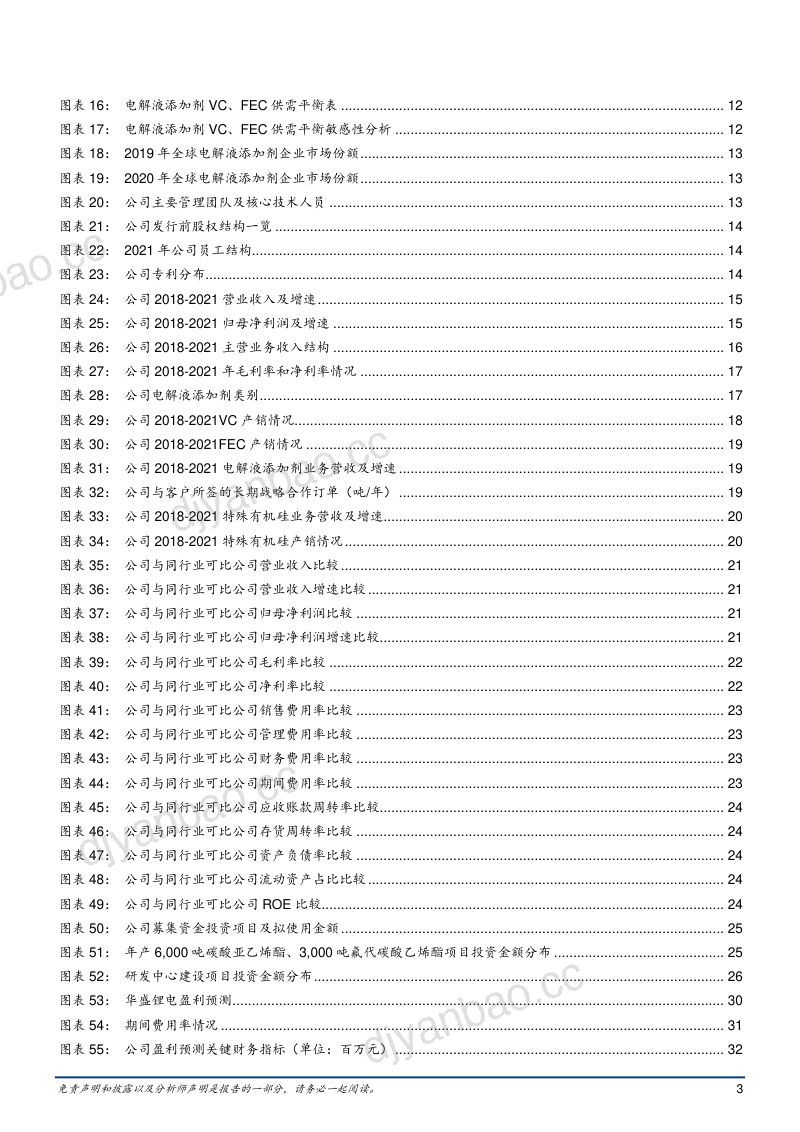 2022年电解液添加剂市场供给需求及华盛锂电业务分析报告(26页) 第3页
