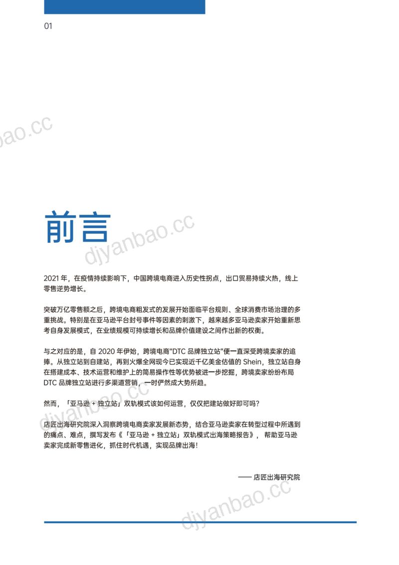 店匠出海研究院：2022亚马逊+独立站双轨模式出海策略报告（47页） 第2页