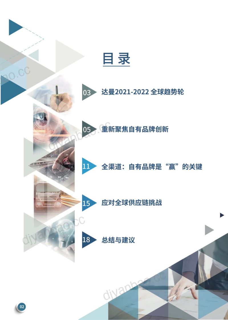 达曼:2022年全球自有品牌趋势报告(19页) 第2页