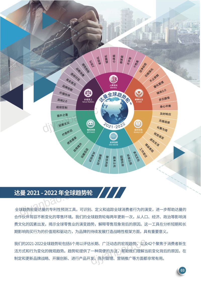 达曼:2022年全球自有品牌趋势报告(19页) 第3页