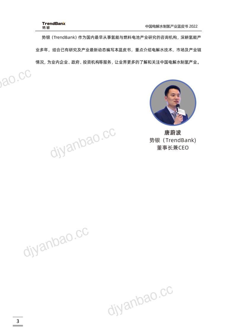 势银：2022中国电解水制氢产业蓝皮书（88页） 第3页