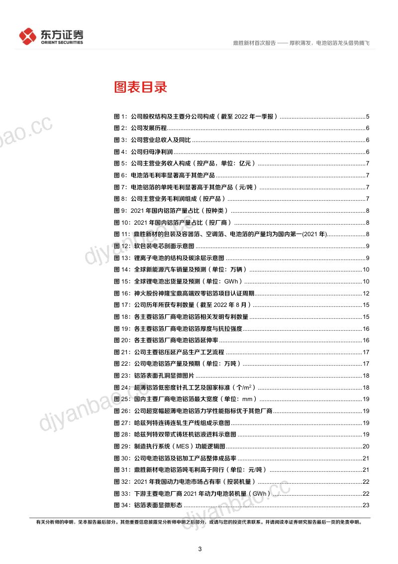 鼎胜新材:厚积薄发电池铝箔龙头借势腾飞-220905(31页) 第3页
