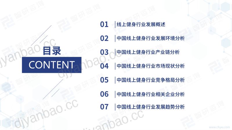 智研咨询:2022年中国在线健身行业发展现状研究报告(简版)(42页) 第2页