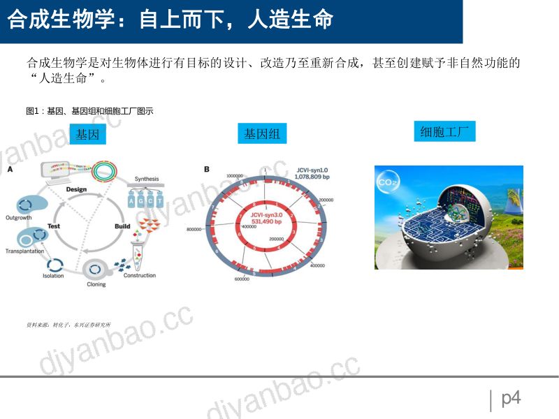 2022-2024年全球合成生物学市场规模预测及产业格局变化分析报告（90页） 第3页