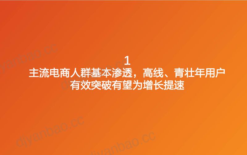 2022年拼多多用户画像分析及主流电商人群渗透现状研究报告（24页） 第2页