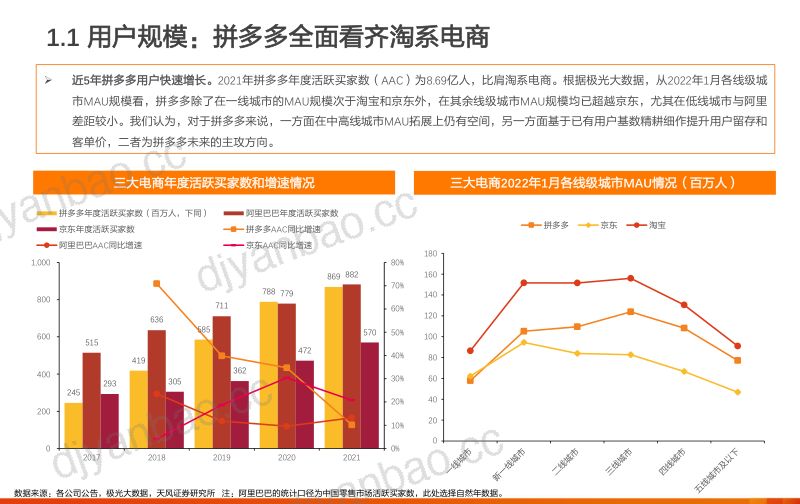 2022年拼多多用户画像分析及主流电商人群渗透现状研究报告（24页） 第3页
