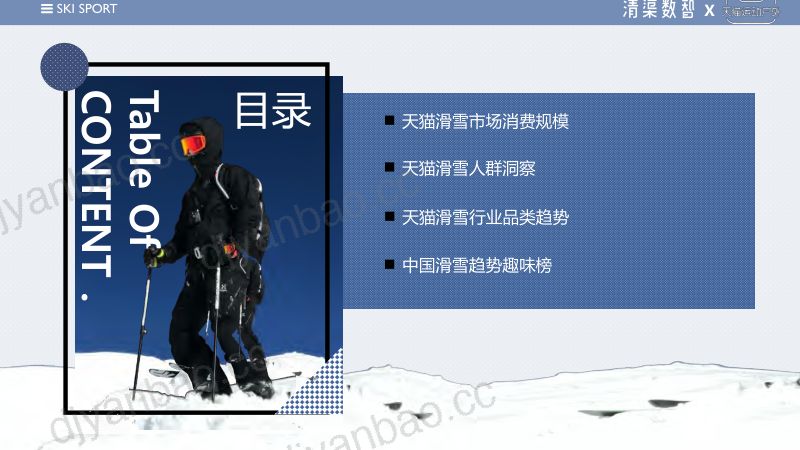 清渠数智:2022天猫滑雪运动品类趋势报告(65页) 第2页