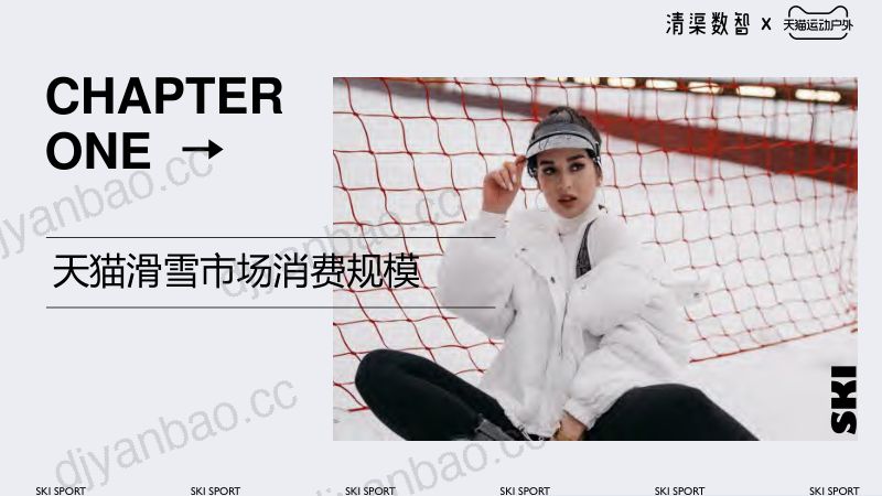 清渠数智:2022天猫滑雪运动品类趋势报告(65页) 第3页