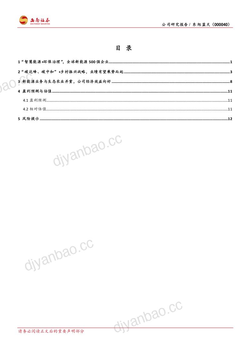 东旭蓝天-电力业务稳定业绩精准发力乡村振兴-221108(18页) 第2页