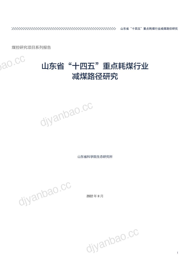 自然资源部保护协会：2022年山东省“十四五”重点耗煤行业减煤路径研究报告（54页） 第3页