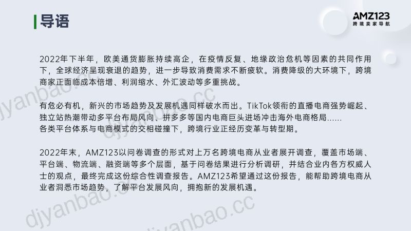 AMZ123：2022跨境电商年度报告（80页） 第2页