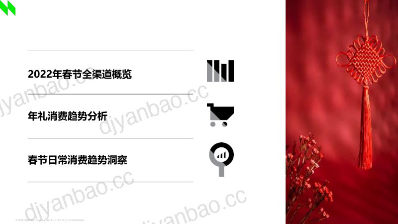 尼尔森IQ:2022年全国现代渠道春节报告(38页) 第2页